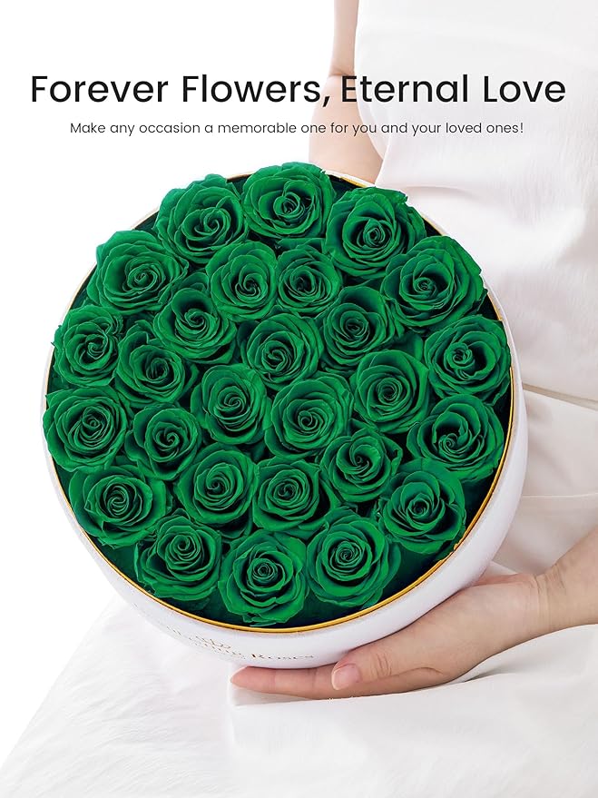 Preserved Roses Forever Flowers Real Roses in a Box Mother's Day Birthday Flowers for Her Mom Women Wife Valentine's Day, Green, 27 Piece