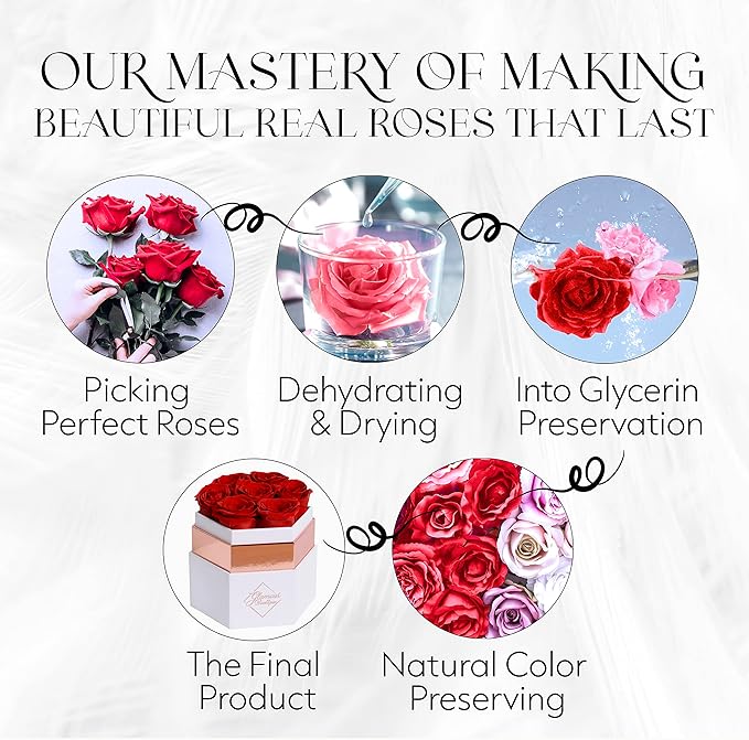 GLAMOUR BOUTIQUE Eternal Preserved Roses in a Box - Flowers Forever, Rose Forever in a Box for Wife, Birthday Gifts for Her, 7 Roses, Red