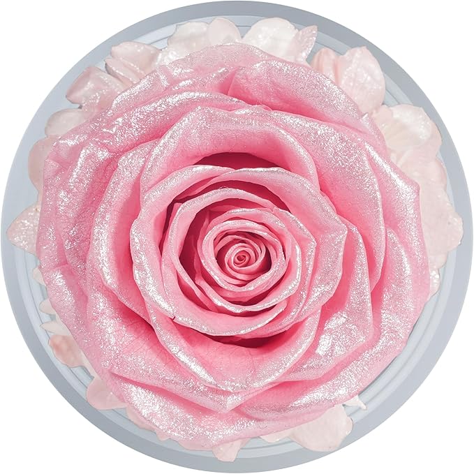 Sunia Preserved Flower Rose Gift for Women - Mother's Day Birthday Gifts for Mom Wife Grandma, Glass Angel Figurines Forever Real Roses Gifts for Her Valentine Day Thanksgiving﻿ (Sparkling Pink)
