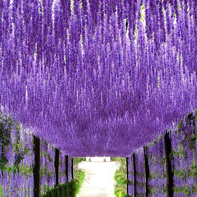 Artificial Flowers Hanging Flowers, Fake Garland Silk Vines Rattan String Decor for Home Wedding Arch Wall Garden Greenery Bedroom Outdoor Office Party Decoration (12, Purple)