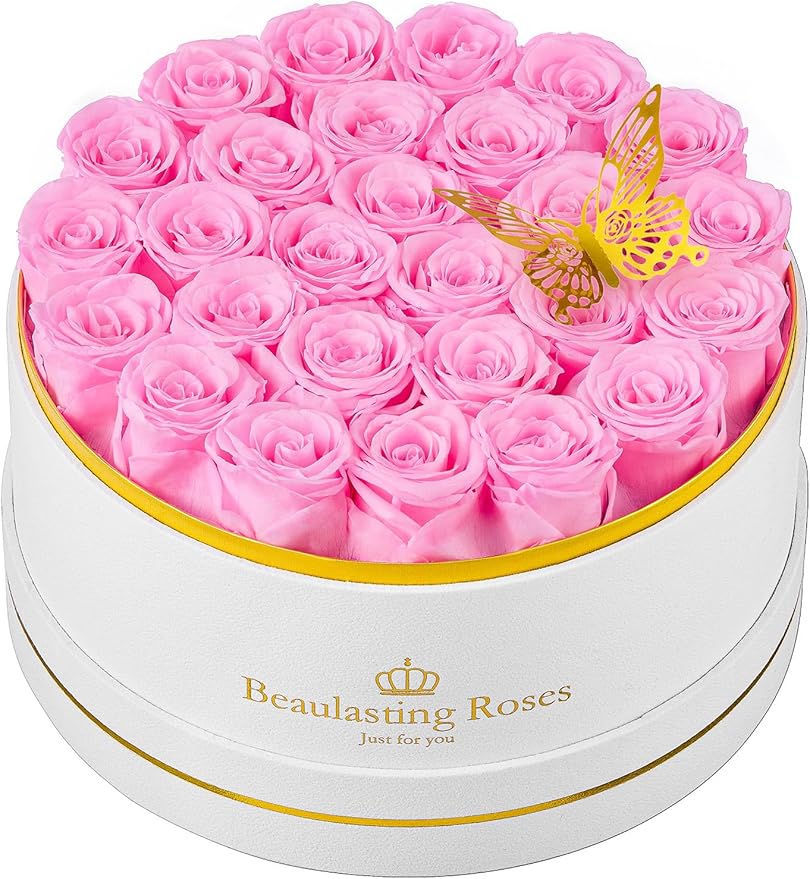 Preserved Roses Forever Flowers Real Roses in a Box Mother's Day Birthday Flowers for Her Mom Women Wife Valentine's Day, 27 Light Pink Roses