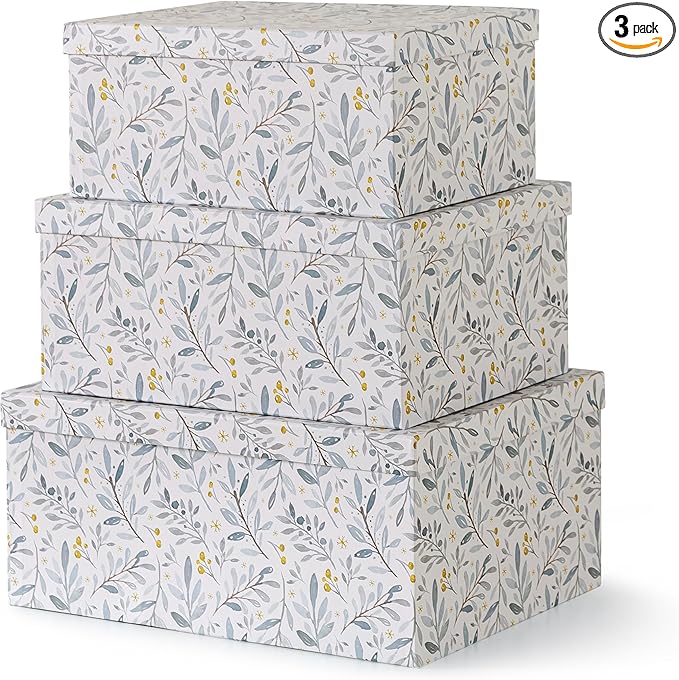 Soul & Lane Decorative Cardboard Storage Boxes with Lids for Home Decor and Organization, Set of 3 Large Keepsake Boxes for Memories & Gifts, Nesting Floral Photo Storage Containers, Winter Blossom