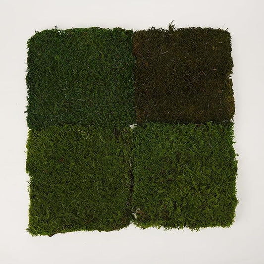 Preserved Sheet Moss Natural Green Decorative Real Natural Green DIY Kit Gardenning Art Wall Decor Florist Decor Easter Table Decor Wedding(4 sq.ft.) (Green-A,Green-B,Green-C)