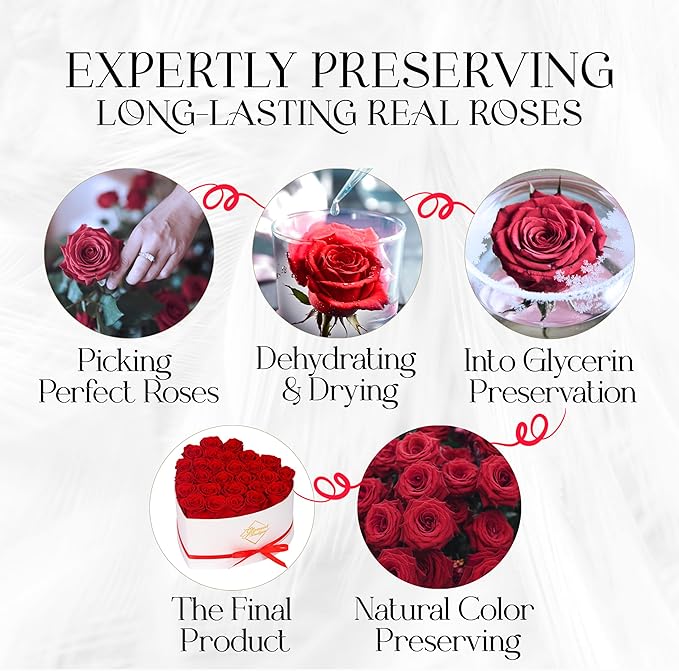GLAMOUR BOUTIQUE Preserved Roses in a Box - Gifts for Her, Wife & Mom, Rose Flowers Forever Decor for Birthday Gift, Get Well Flower Bouquet Cased in White Box with Cover - Red - 27-Piece