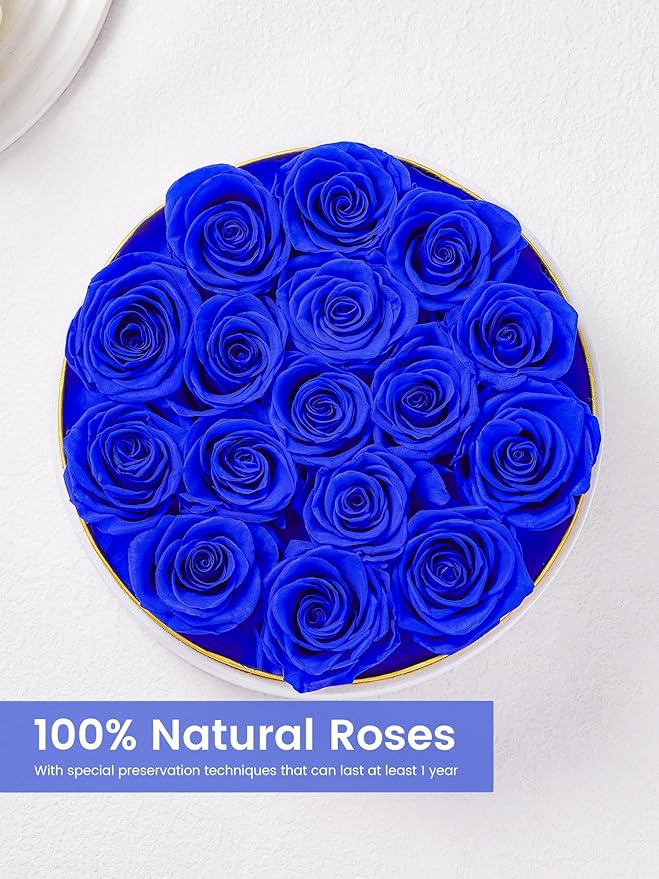 Preserved Roses Forever Flowers Real Roses in a Box Mother's Day Birthday Flowers for Her Mom Women Wife Valentine's Day, 16 Royal Blue Roses