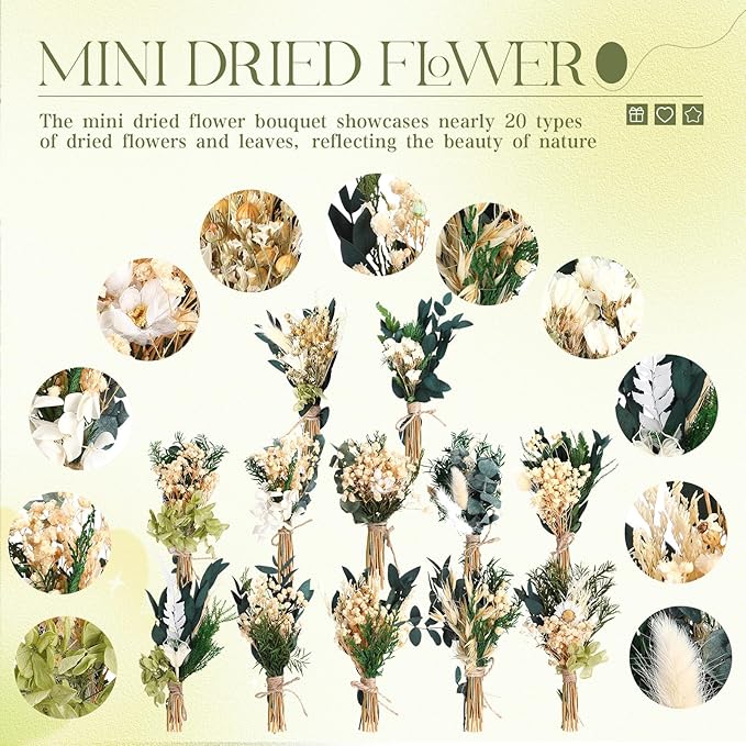 Layhit 12 Pack Boho Dried Flower Bouquet Mini Wedding Handmade Dry Flowers Decor for Vase Crafts DIY Photo Boutonniere for Men Floral Plant for Bridesmaid Gift Birthday Decor(Fresh)