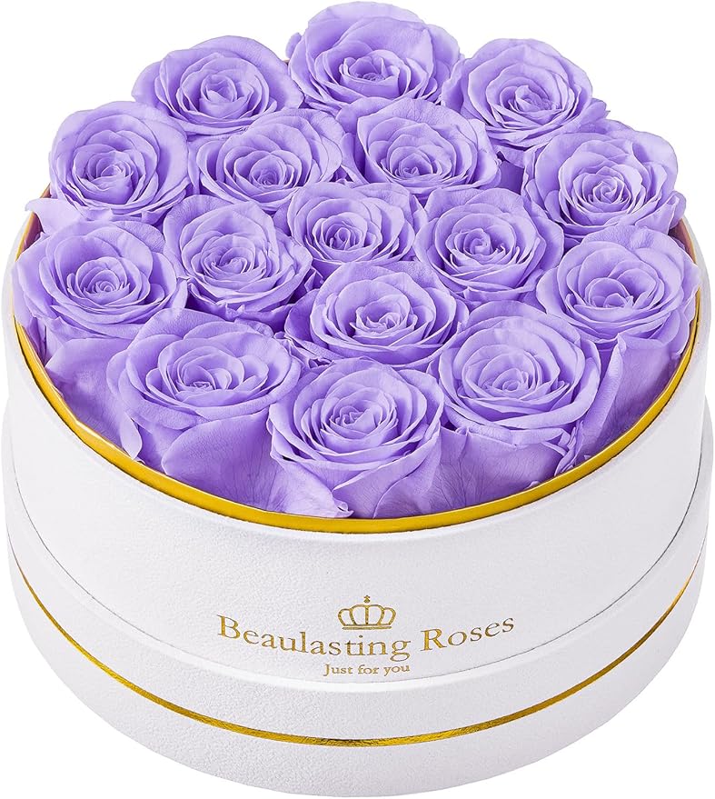 Preserved Roses Forever Flowers Real Roses in a Box Mother's Day Birthday Flowers for Her Mom Women Wife Valentine's Day, 16 Light Purple Roses