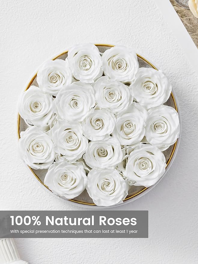 Preserved Roses Forever Flowers Real Roses in a Box Mother's Day Birthday Flowers for Her Mom Women Wife Valentine's Day, 16 White Roses