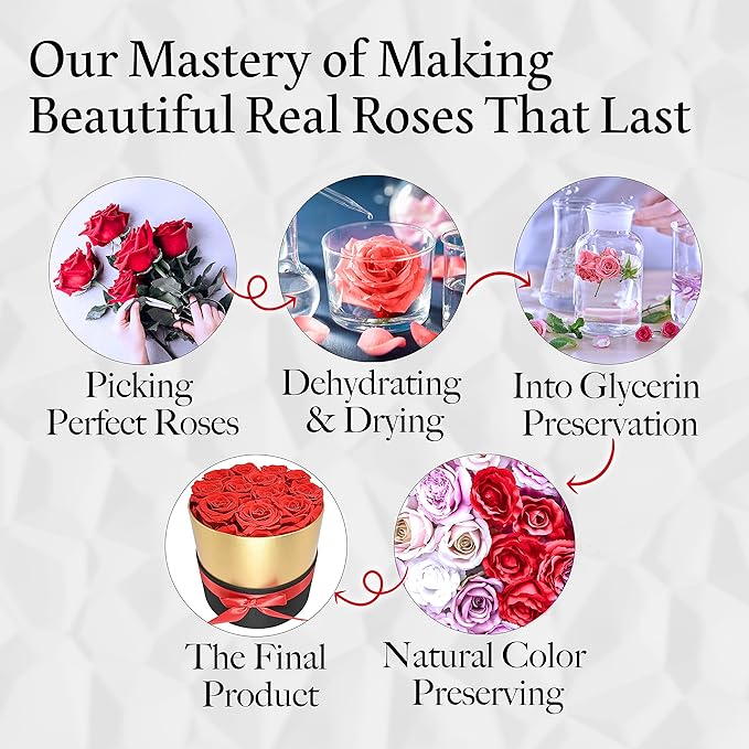 GLAMOUR BOUTIQUE Eternal Preserved Roses in a Box - Flowers Forever, Rose Forever in a Box for Wife, Birthday Gifts for Her, 19 Roses, Red