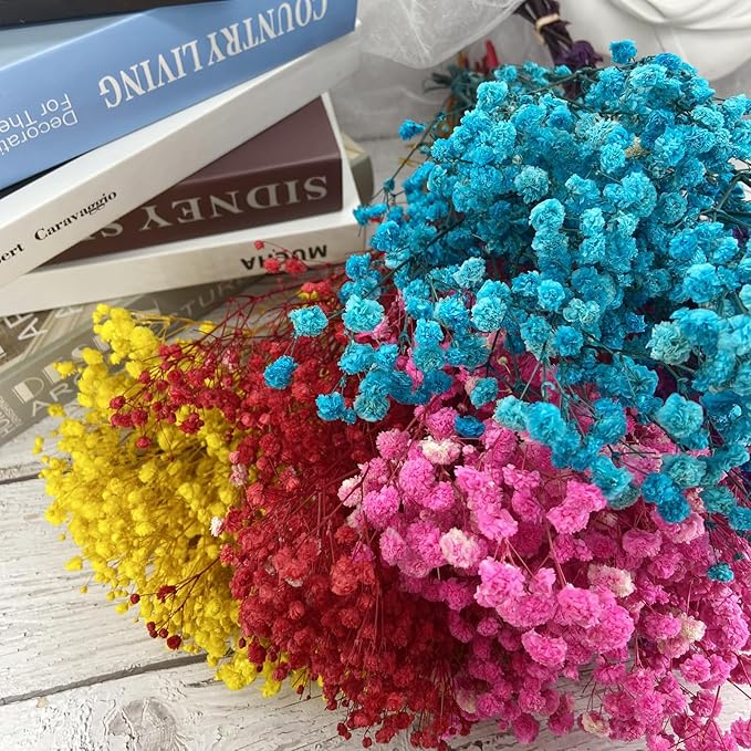Birtlynn Preserved Baby's Breath, 100% Natrual Gypsophila Long Lasting Flowers for Vase Arrangements Home Decoration Photo Props Parties and Weddings, DIY Décor-Red