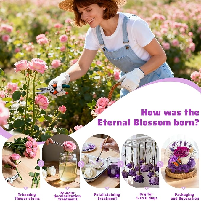 Real Preserved Flowers with LED Lights, Forever Eternal Roses Box, Gifts for Women, Mom, Wife, Girlfriend, Birthday Christmas Day & All Occasions, Home Decor