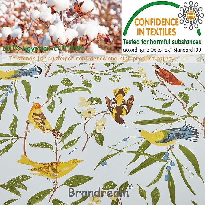 Brandream Eastern Floral Birds Chinoiserie Blossom Print Bed Sheet Set Luxury Bedding Collections 800TC 100% Egyptian Cotton Deep Pocket White Green Botanical Tree Branches Ornamental, 4Pc-Queen Size