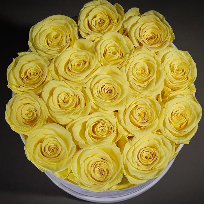 17 Flowers in a Luxury Suede Box, Birthday Gifts for Women, Preserved Flowers, Mothers Day Roses Gift for Mom, Yellow