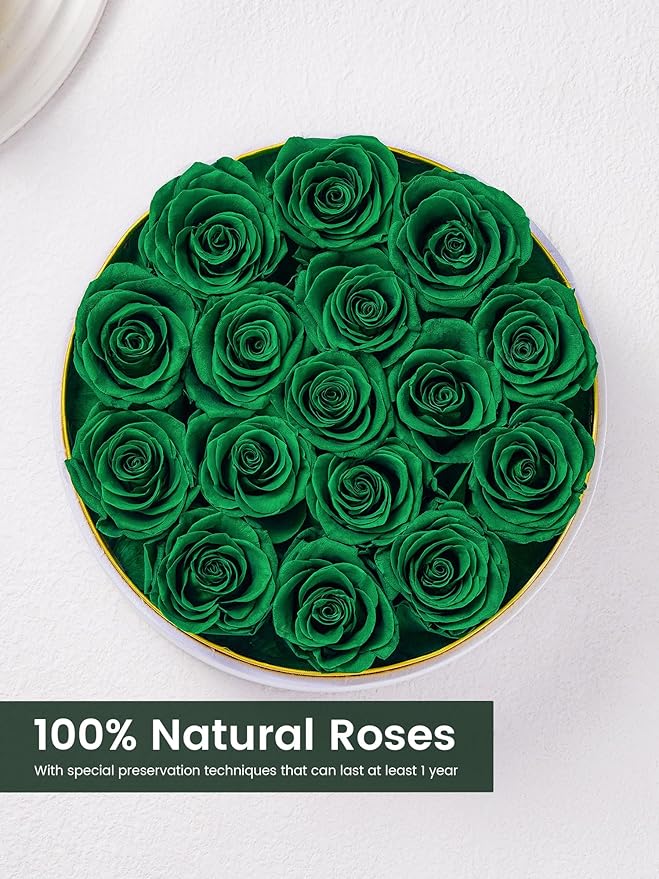 Preserved Roses Forever Flowers Real Roses in a Box Mother's Day Birthday Flowers for Her Mom Women Wife Valentine's Day, 16 Green Roses