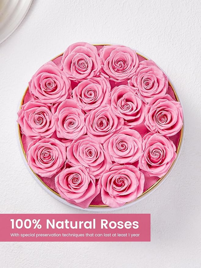 Preserved Roses Forever Flowers Real Roses in a Box Mother's Day Birthday Flowers for Her Mom Women Wife Valentine's Day, 16 Pink Roses