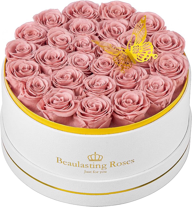 Preserved Roses Forever Flowers Real Roses in a Box Mother's Day Birthday Flowers for Her Mom Women Wife Valentine's Day, 27 Dusty Pink Roses