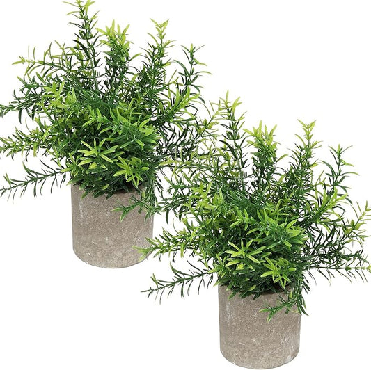 Flojery Mini Potted Plants Artificial Eucalyptus Boxwood Rosemary Greenery in Pots Faux Potted Herbs Small House Plants 8.3"-9" Tall for Indoor Greenery Tabletop Décor Centerpiece (Green)