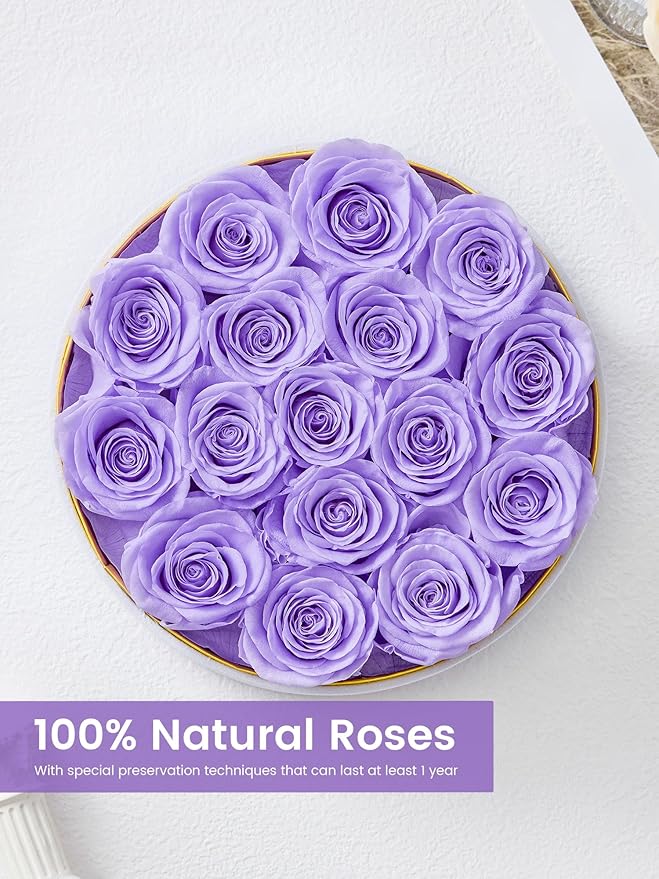 Preserved Roses Forever Flowers Real Roses in a Box Mother's Day Birthday Flowers for Her Mom Women Wife Valentine's Day, 16 Light Purple Roses