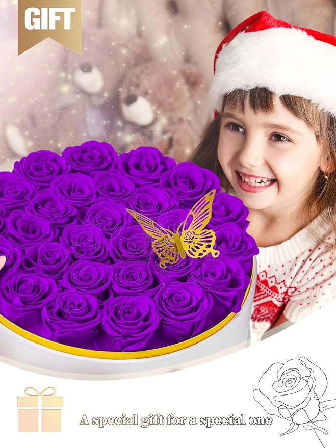 Preserved Roses Forever Flowers Real Roses in a Box Mother's Day Birthday Flowers for Her Mom Women Wife Valentine's Day, 27 Purple Roses