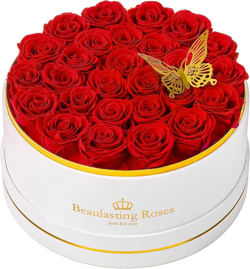 Preserved Roses Forever Flowers Real Roses in a Box Mother's Day Birthday Flowers for Her Mom Women Wife Valentine's Day, Red, 27 Piece