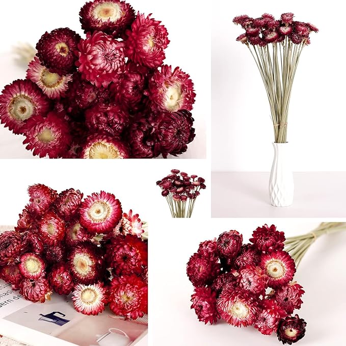 Dried Flower 40PCS Daisy Bouquet 100% Natural Chrysanthemum Dry Flower with Stem for Vase Home décor Party DIY Arrangement Wheat Straw Bulk (Burgundy)