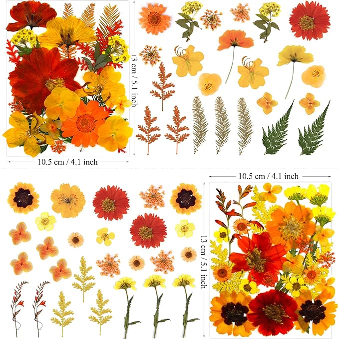 90Pcs Fall Pressed Dried Flowers for Resin, Real Assorted Autumn Natural Bulk Orange Dry Floral Leaves for DIY Art Crafts, Epoxy Molds, Jewelry, Soap, Candle Making
