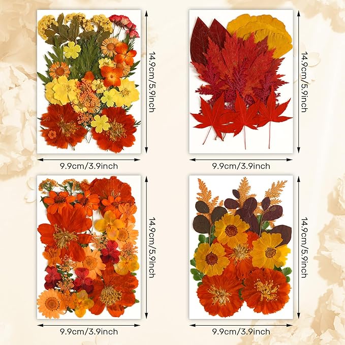 Augshy Fall Dried Pressed Flowers,100 Pcs Autumn Dried Flowers Leaves for Resin Molds Real Pressed Flowers for Crafts DIY Jewelry Molds, Scrapbooking, Candle