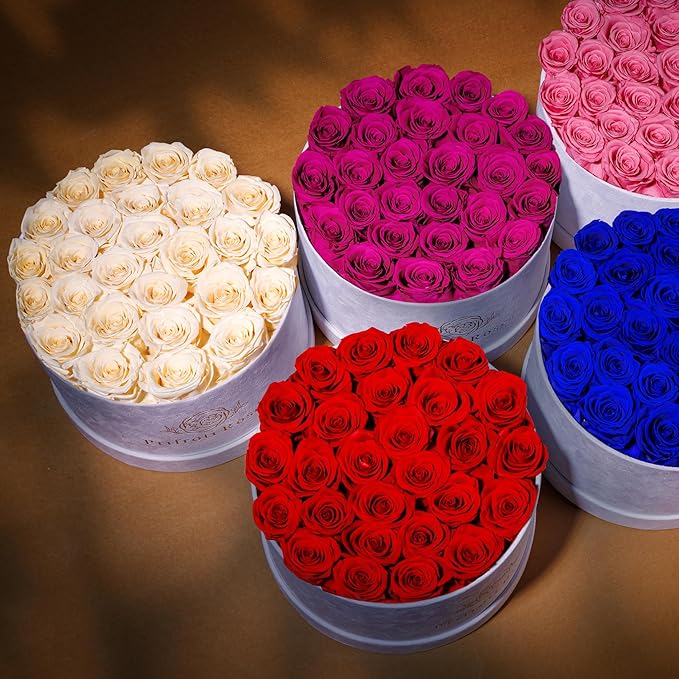 27 Flowers in a Luxury Suede Box, Birthday Gifts for Women, Preserved Flowers, Mothers Day Roses Gift for Mom, Dusty Rose