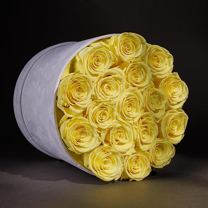 17 Flowers in a Luxury Suede Box, Birthday Gifts for Women, Preserved Flowers, Mothers Day Roses Gift for Mom, Yellow