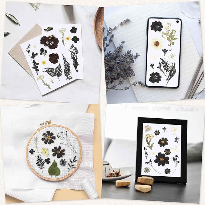 Augshy Black Dried Pressed Flowers, 120 Pcs Halloween Dried Flowers for Resin Molds Real Pressed Flowers for Crafts DIY Jewelry Molds, Scrapbooking, Candle, Soap Making
