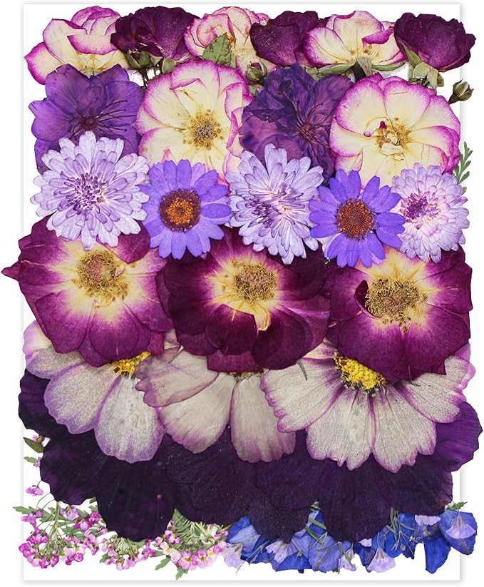 Large Purple Dried Pressed Flowers - Real Natural Big Flowers for Resin, Crafts, Nail Art, Candle, Soap, Phone Cases & DIY Jewelry
