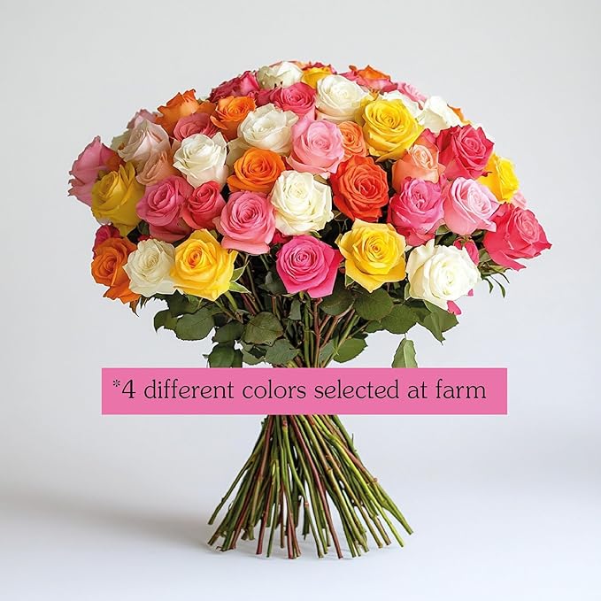 GlobalRose Fresh Cut Assorted Roses - 100 Roses (4 Bundles of 25) Fresh Bouquet for Birthday, Anniversary, Women's Day, or Home Decor - Flowers Delivery Gift