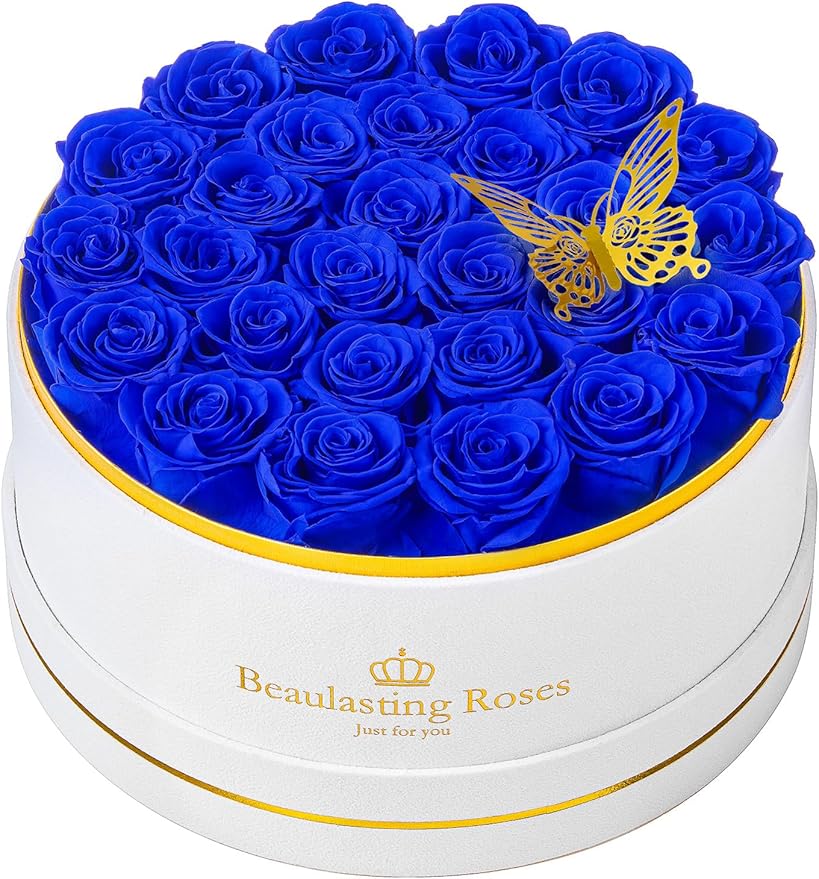 Preserved Roses Forever Flowers Real Roses in a Box Mother's Day Birthday Flowers for Her Mom Women Wife Valentine's Day, 27 Royal Blue Roses
