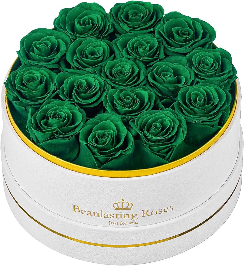 Preserved Roses Forever Flowers Real Roses in a Box Mother's Day Birthday Flowers for Her Mom Women Wife Valentine's Day, 16 Green Roses