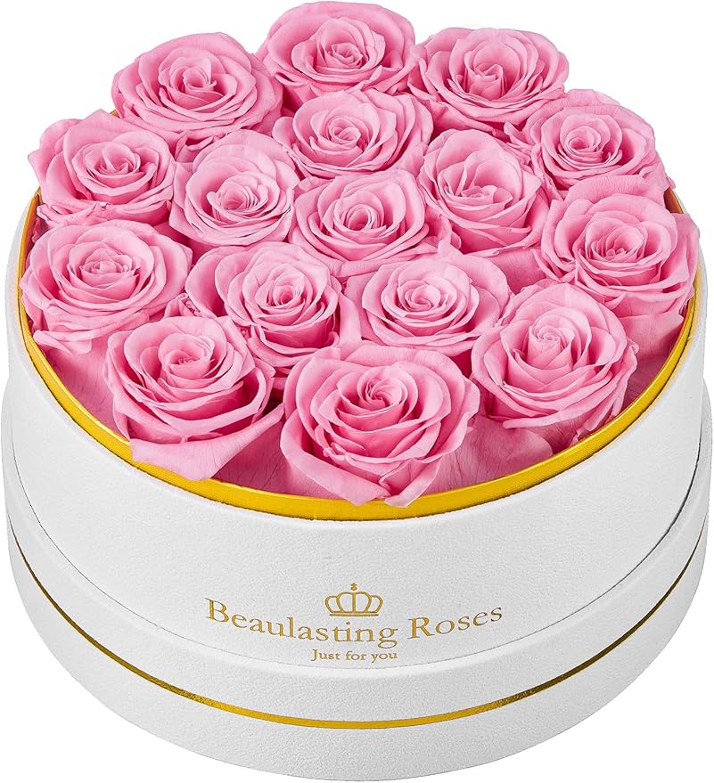Preserved Roses Forever Flowers Real Roses in a Box Mother's Day Birthday Flowers for Her Mom Women Wife Valentine's Day, 16 Pink Roses