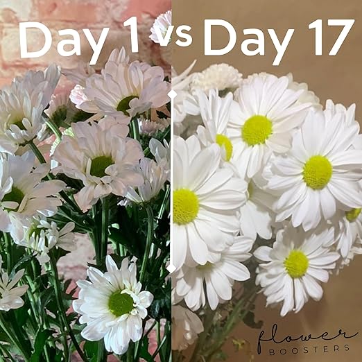 Flower Boosters Cut Flower Food – Biodegradable, Real-Food-Based Formula Safe Around Pets & People, Extends Fresh Flower Vase Life Up to 20 Days (12.5 oz)