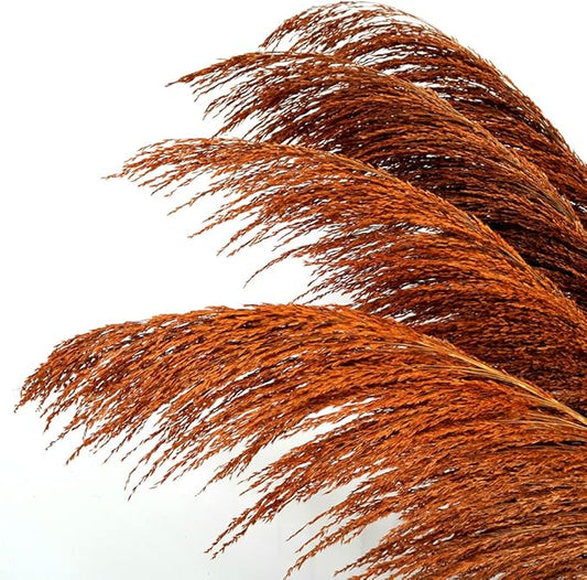Pampas Grass Decor Tall,Long Pampas, Large Pompas Floral, Elegant Feather Flowers for Wedding Decorations, Living Room Decor (Natural Orange, 4pcs 43.3"(110cm))