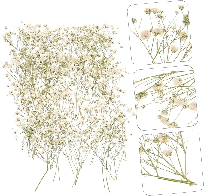 Natural Eternal Dried Flower Bouquet DIY Kit Stems S Breath Floral Adornments for Home Decor Vase Filling Rustic Wedding Decorations