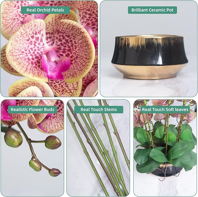 CXGS Orchids Artificial Flower Real Touch Faux Orchid in Large Ceramic Vase 23.6'' Realistic PurpleSpots Fake Phalaenopsis Floral Arrangements Centerpiece Table Home Indoor Decor