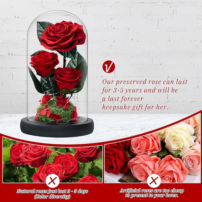 3 Preserved Flowers Roses in Glass Dome with Light for Beauty and The Beast Decor Real Rosas Eternas for Women Mom Birthday,Forever Red Roses for Delivery, Gifts for Wife Girlfriend Her
