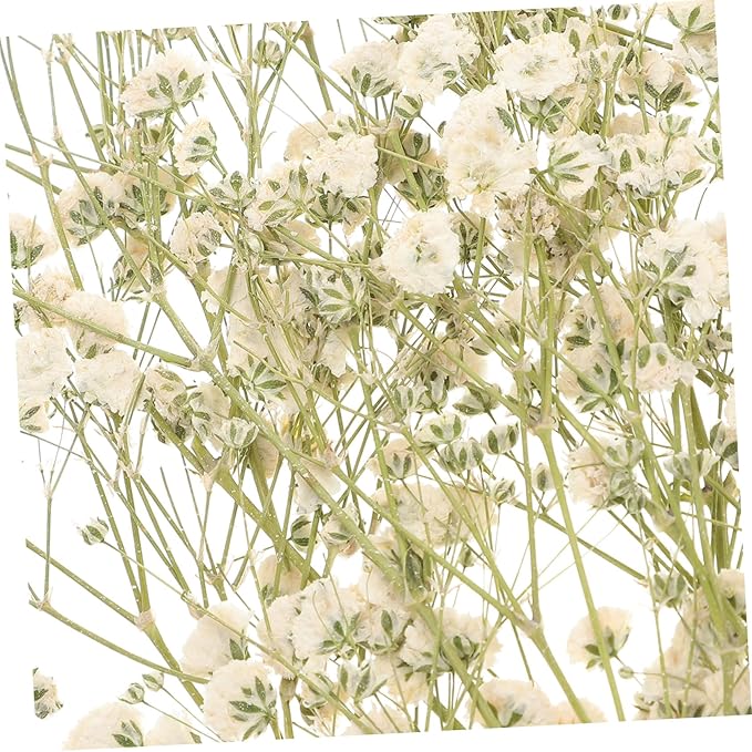 Natural Eternal Dried Flower Bouquet DIY Kit Stems S Breath Floral Adornments for Home Decor Vase Filling Rustic Wedding Decorations