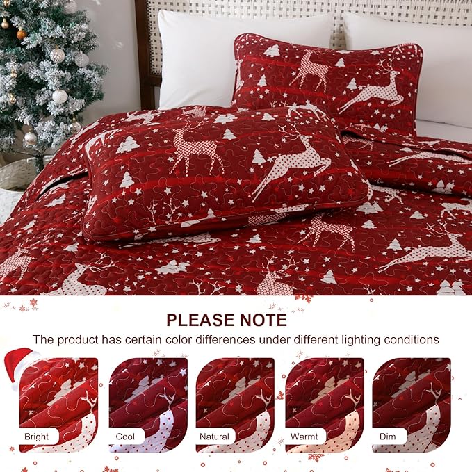 Dinjoy Christmas Quilt Set Queen Size, Christmas Holiday Quilt Bedding Set Xmas New Year Bedspread Soft Microfiber 3 Pieces Coverlet for Kid Adult 90"x90" New Year Gift