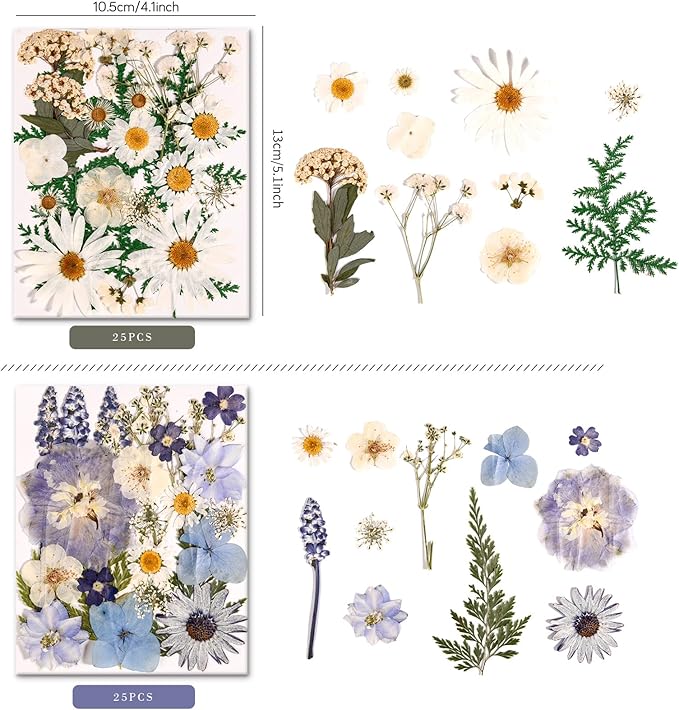 6 Pack 150PCS Real Pressed Dried Flowers Dry Leaves Craft Kit - Natural Dried Flowers for DIY Crafts, Resin Jewelry, Cards, Soap, CandleMaking, Nail Art, and Scrapbooking (Colorful)