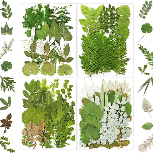 84Pcs Pressed Dried Leaves for Resin Molds, Assorted Real Natural Bulk Dry Flowers for DIY Art Crafts, Epoxy Jewelry, Candle, Soap Making, Nails Decors Gifts