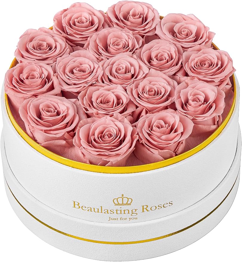 Preserved Roses Forever Flowers Real Roses in a Box Mother's Day Birthday Flowers for Her Mom Women Wife Valentine's Day, 16 Dusty Pink Roses