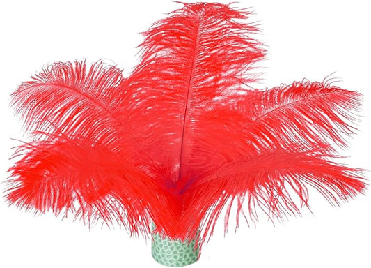 Piokio 20 pcs Natural Red Ostrich Feathers 6-8 inch(15-20 cm) Bulk for DIY Clothes, Feather Pens, Dream Catcher, Gatsby Decorations