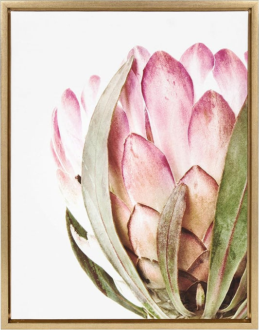 Kate and Laurel Sylvie Pink Protea Flower Framed Canvas Wall Art by Amy Peterson, 18x24 Gold