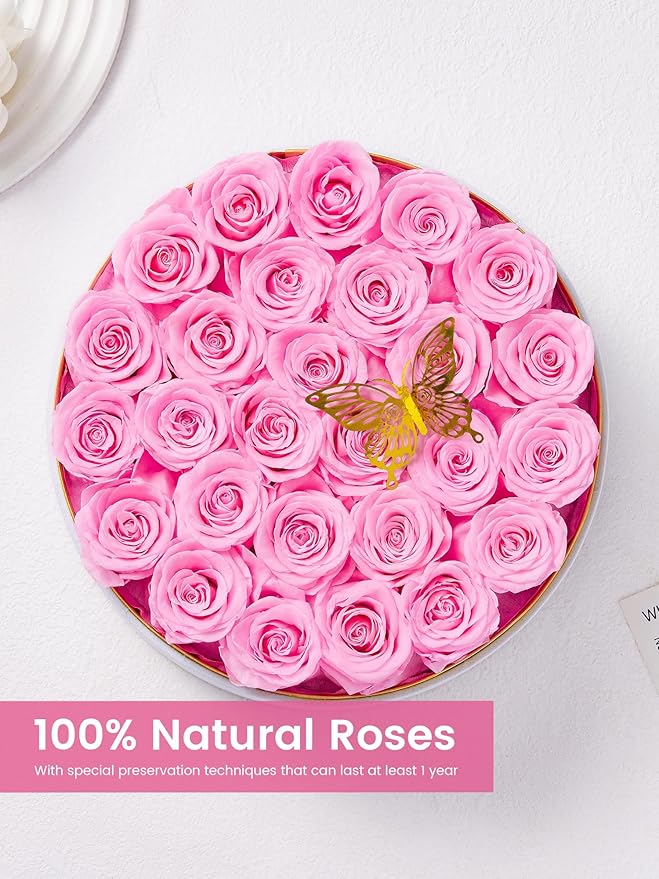 Preserved Roses Forever Flowers Real Roses in a Box Mother's Day Birthday Flowers for Her Mom Women Wife Valentine's Day, 27 Light Pink Roses