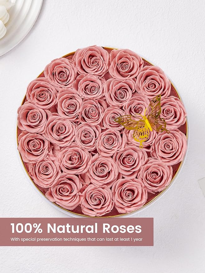 Preserved Roses Forever Flowers Real Roses in a Box Mother's Day Birthday Flowers for Her Mom Women Wife Valentine's Day, 27 Dusty Pink Roses