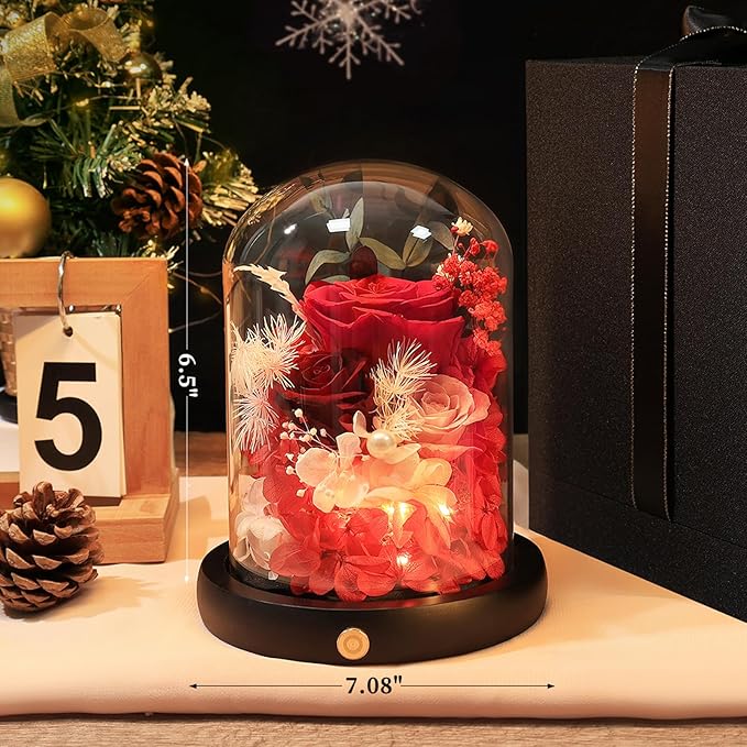 FIACO Preserved Flowers Christmas Rose Gifts for Women, Birthday Gifts Eternal Rose in Glass Dome Long-Lasting Real Forever Flowers Gifts for Mom Grandma Wife Girlfriend Red